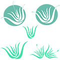 Quitar cicatrices Mascarilla de cristal aloe vera