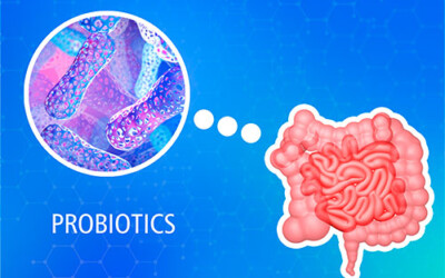 Probióticos: La Clave para una Salud Intestinal Óptima
