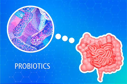 Probióticos: La Clave para una Salud Intestinal Óptima