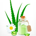 Bienestar y Salud Caléndula y Aloe Vera